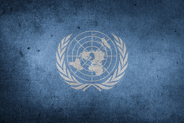Japan pushes for Africa to have seat on the UN Security Council. Credit: Pixabay