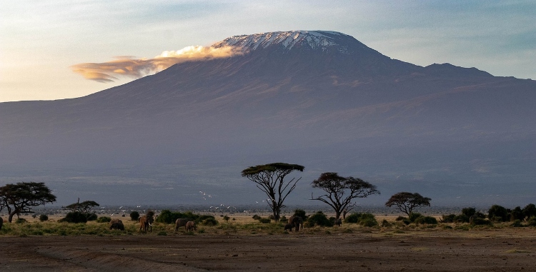 Fire on Mount Kilimanjaro reignites. Credit: Pixabay