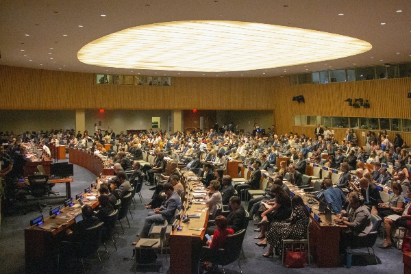 Africa renews call for UN Security Council seat. Credit: Unsplash